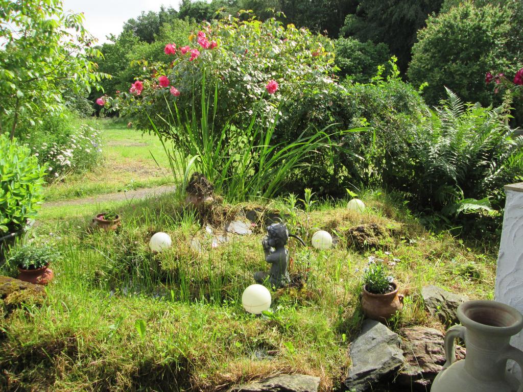 Schorfelder Hof Pension Gondershausen Buitenkant foto